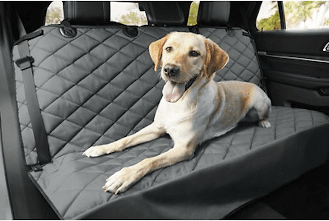 8 Functional and Fashionable Dog Car Seat Covers - BeChewy