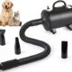 Why use a water blower for your dog?