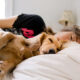 Sleeping with your dog: do or don't?