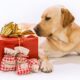 Best Gifts that every Dog lovers will appreciate for their furry.